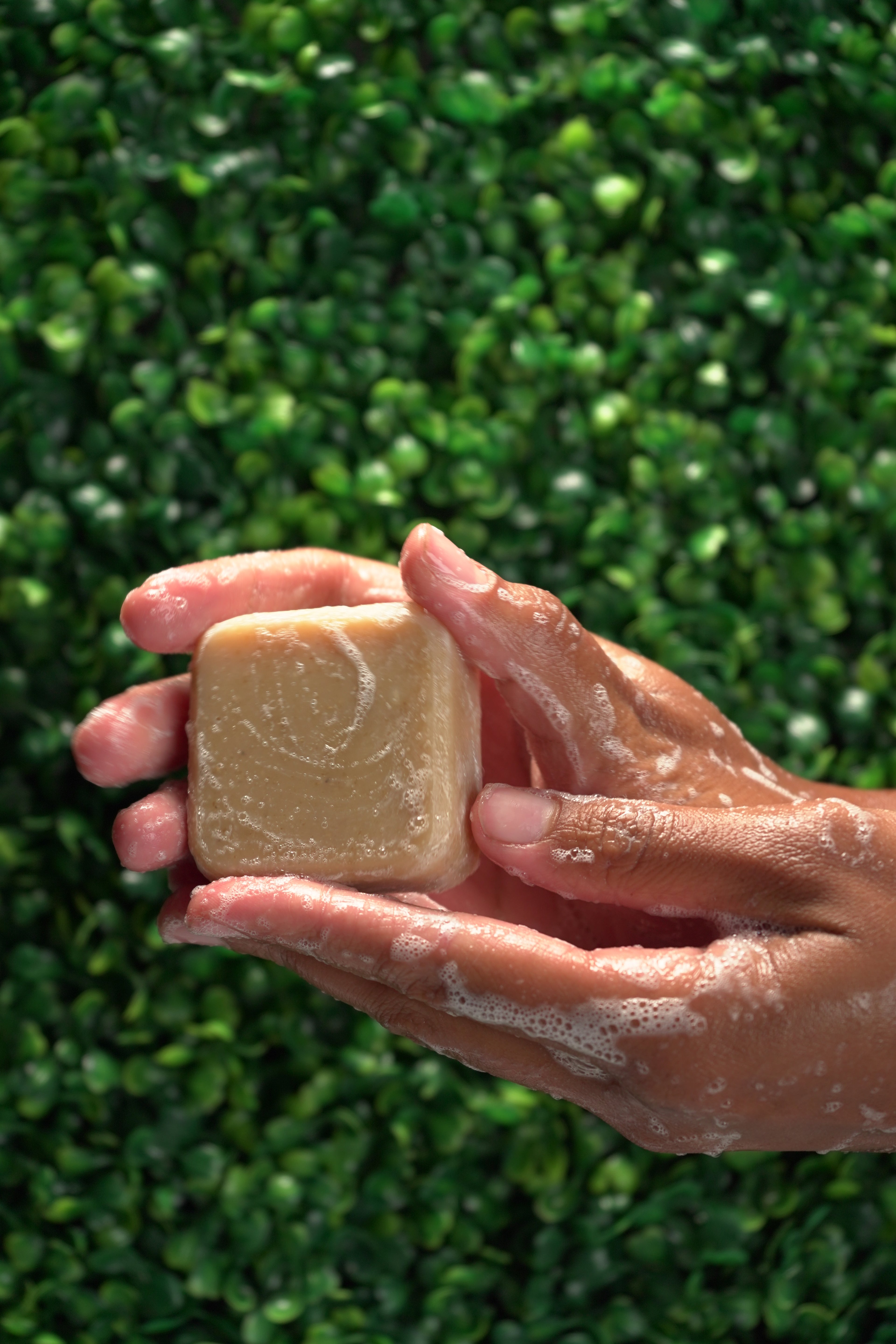 Person washing hands with Barebase Coconut-Free Goat Milk & Honey Soap