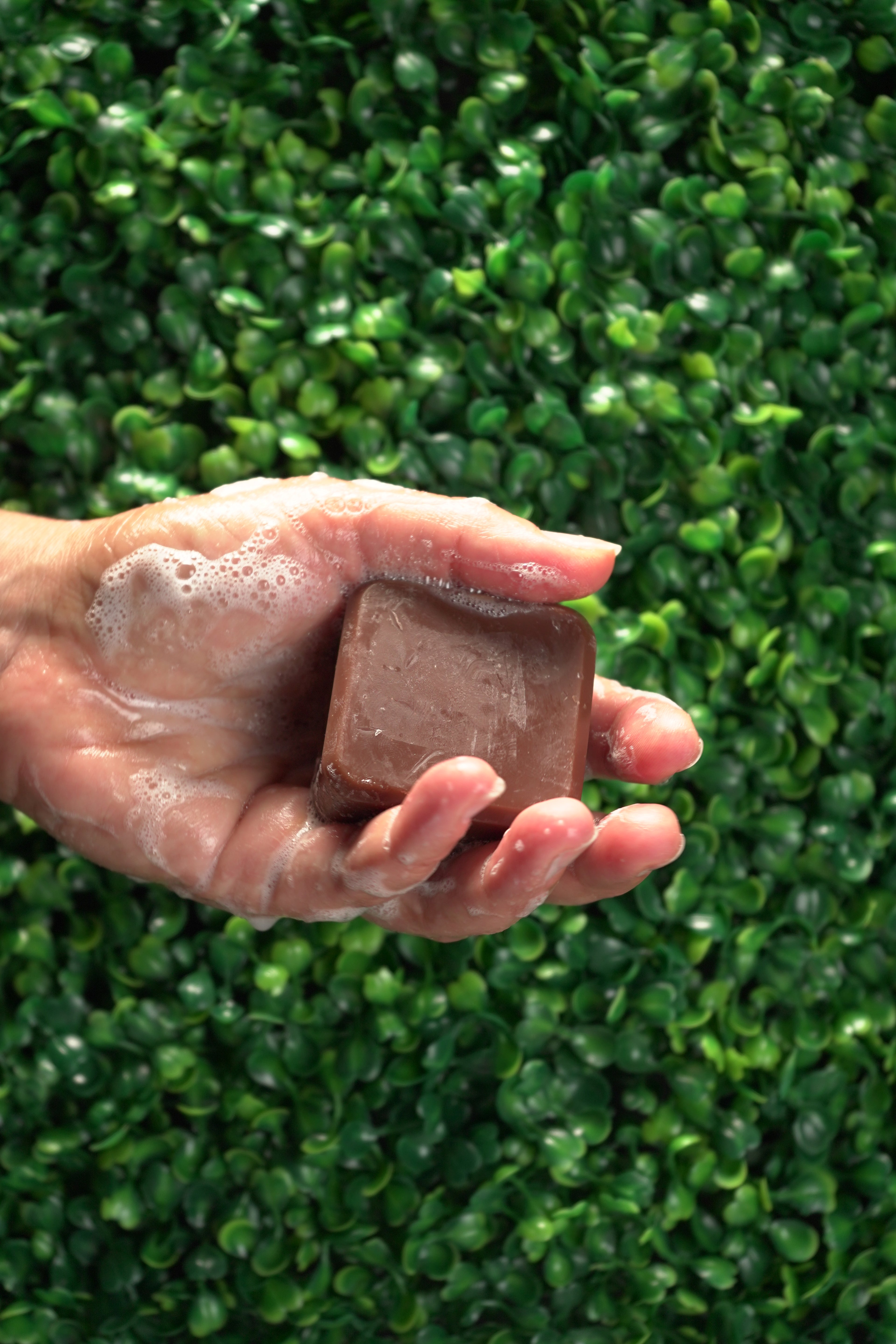 Person washing hands with Barebase Coconut-Free Vanilla Chamomile Soap